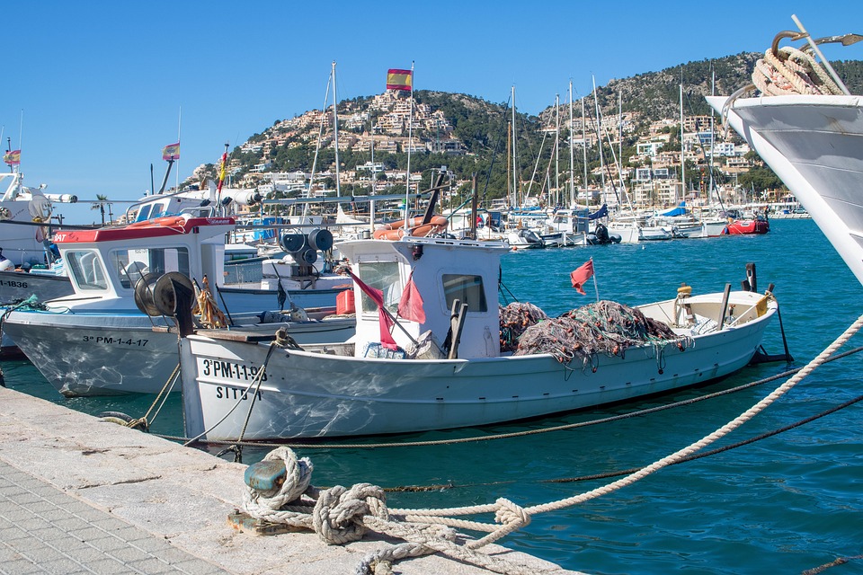Aerial view of Port d'Andratx harbour in Mallorca surrounded by mountains