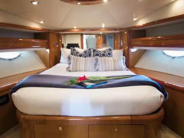 LION | Sunseeker Predator 72 — 3 / 18