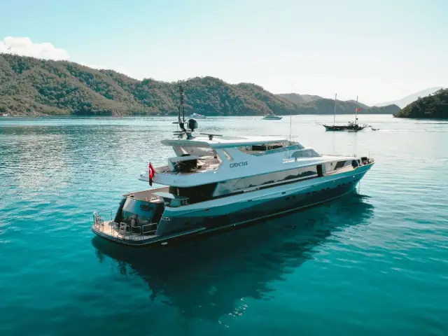 CROCUS |  Custom Made 40M — 3 / 52