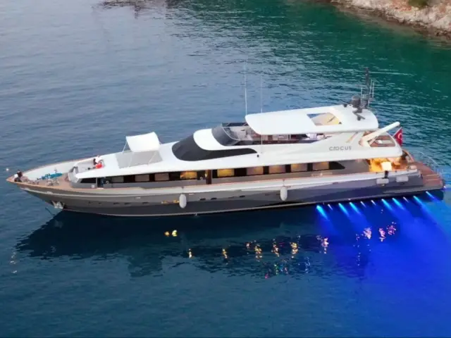 CROCUS |  Custom Made 40M — 5 / 52