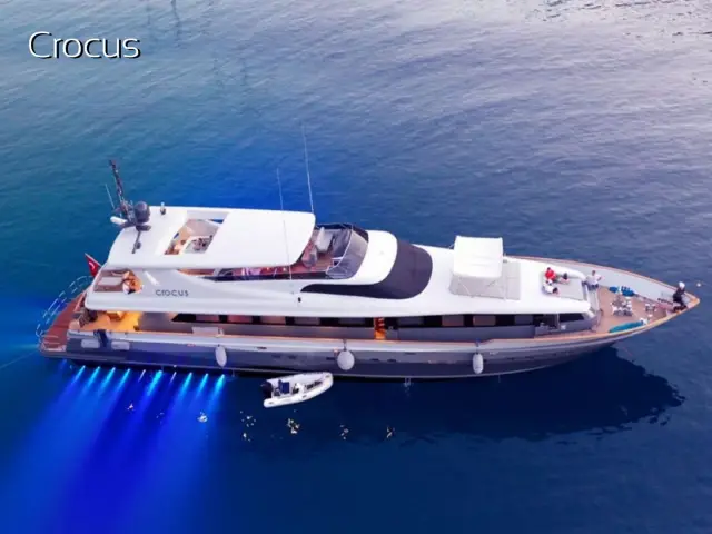 CROCUS |  Custom Made 40M — 7 / 52