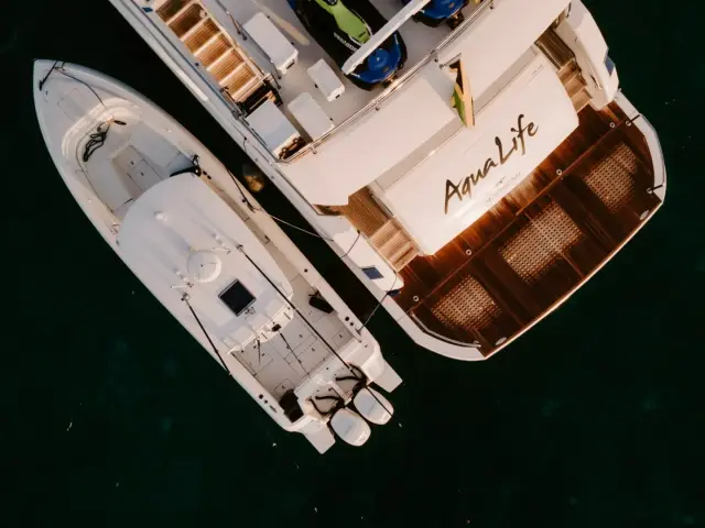 AQUA LIFE — 68 / 69