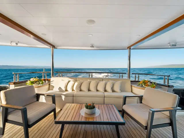 FREEDOM | Radez 48M — 35 / 67