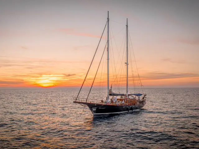 SMART SPIRIT | Custom 26M — 6 / 50