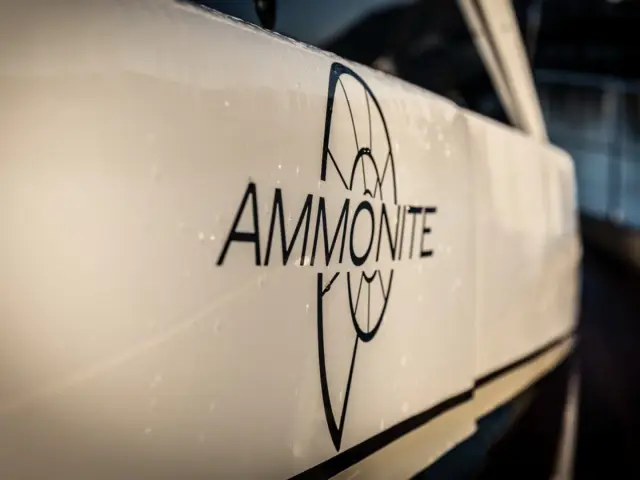 AMMONITE | Numarine 24M — 14 / 50