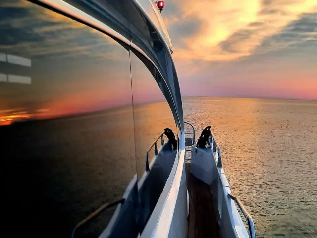 BASAD | Sunseeker Predator 84 — 6 / 37
