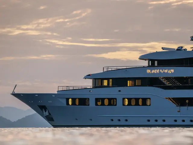BLACK SWAN | Custom 50M — 3 / 31