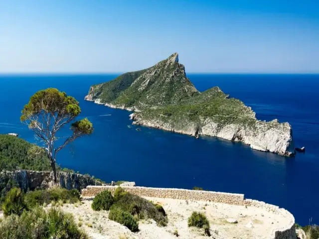 Mallorca Day Charter: Puerto Portals to Sa Dragonera