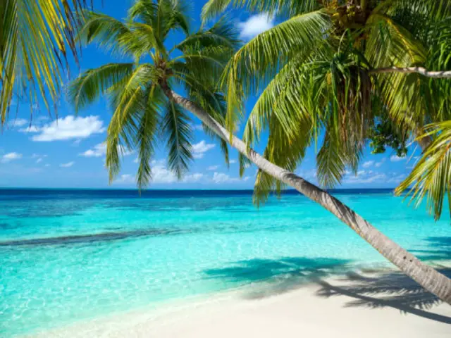  5-Day Luxury Yacht Charter: Bahamas Escape