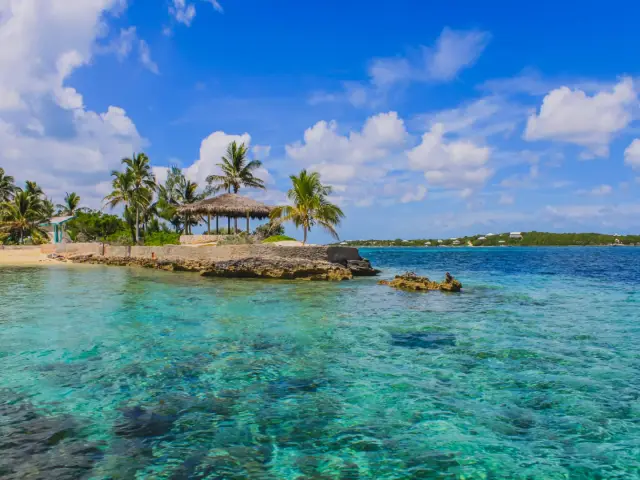 Bahamas Adventure to Pig Island